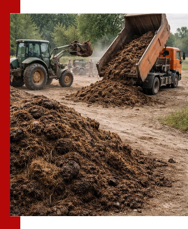 Доставка навоза самосвалами в Шарыпове для сельхозпотребностей